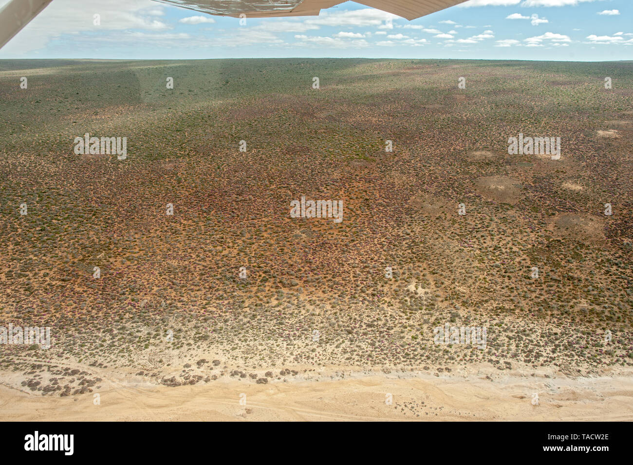 Luftaufnahme über dem südlichen Abschnitt der Namaqua National Park in der Northern Cape Provinz von Südafrika. Stockfoto