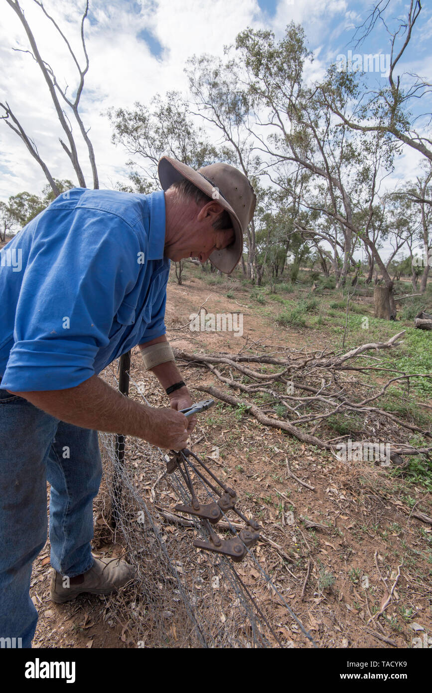 Mai 2019 Burren Junction, Australien: Bauer Richard Marshall Reparatur einer beschädigten Draht Zaun mit seinem bevorzugten vintage Donald kabel Sieb Stockfoto