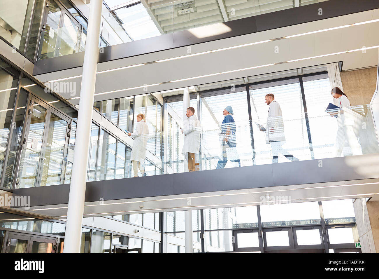 Ärzte Team im Krankenhaus auf der Galerie für einen Termin oder ein Besuch Stockfoto