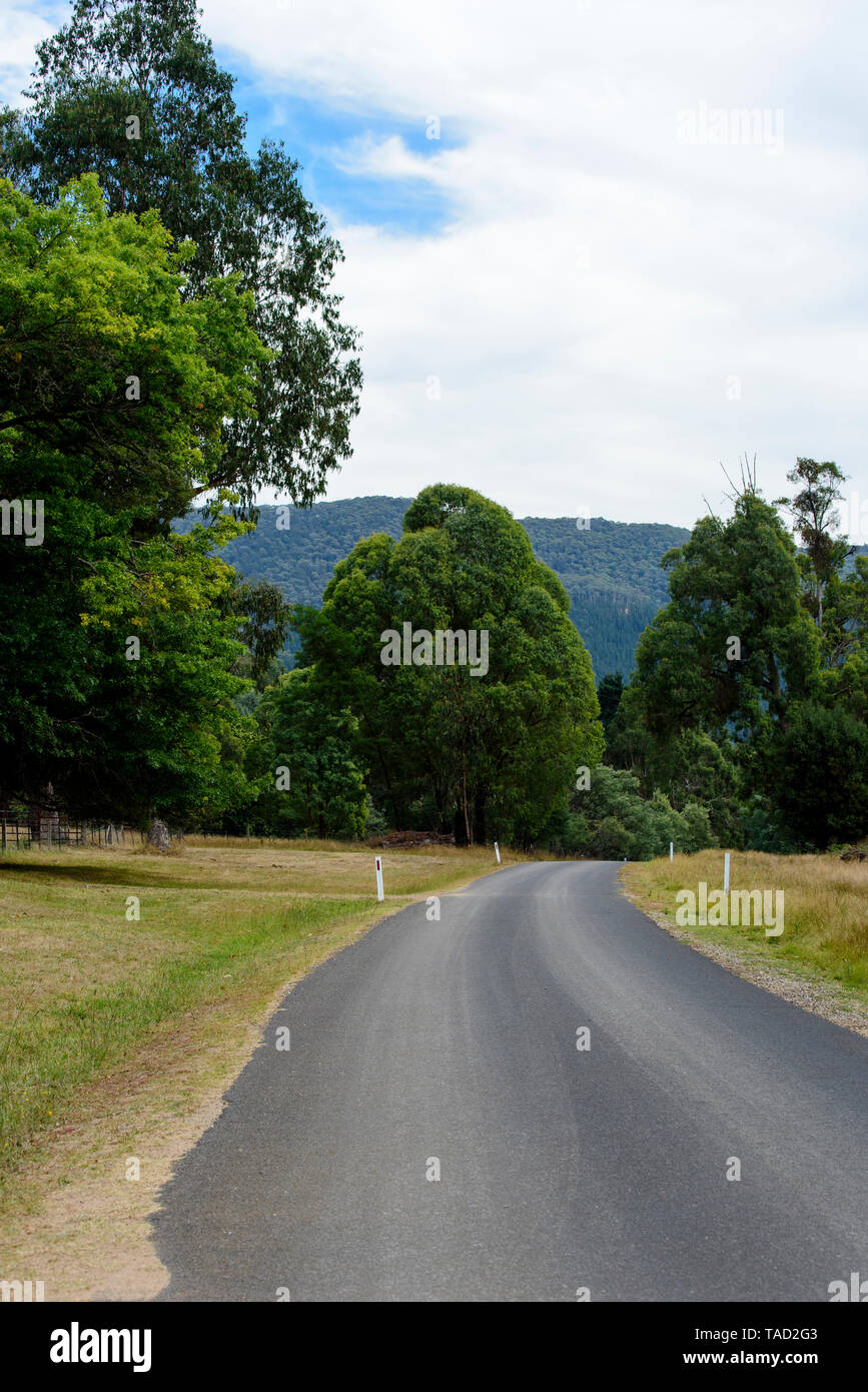 Straße in ländlichen Hinterland Australien in Richtung Wald, Victoria Australien Stockfoto