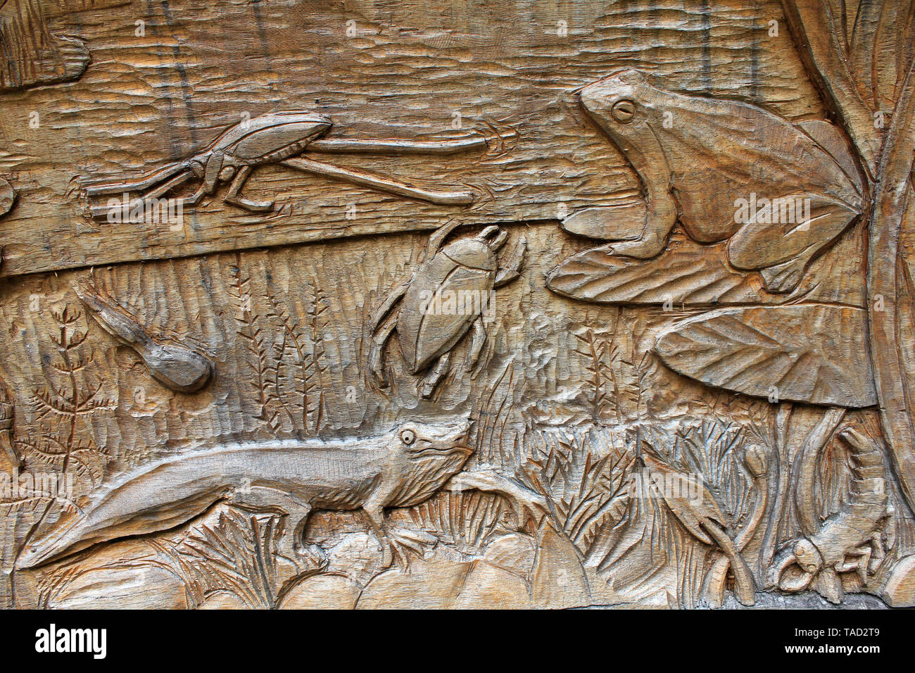 Aus Holz geschnitzte Gedenktafel zeigt Teich Leben Stockfoto