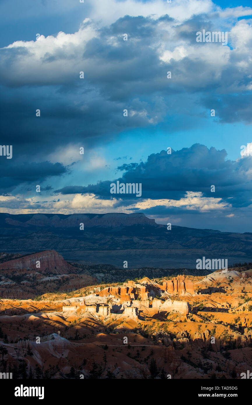 USA, Utah, Bryce Canyon Nationalpark, Sandstein Felsformationen Stockfoto