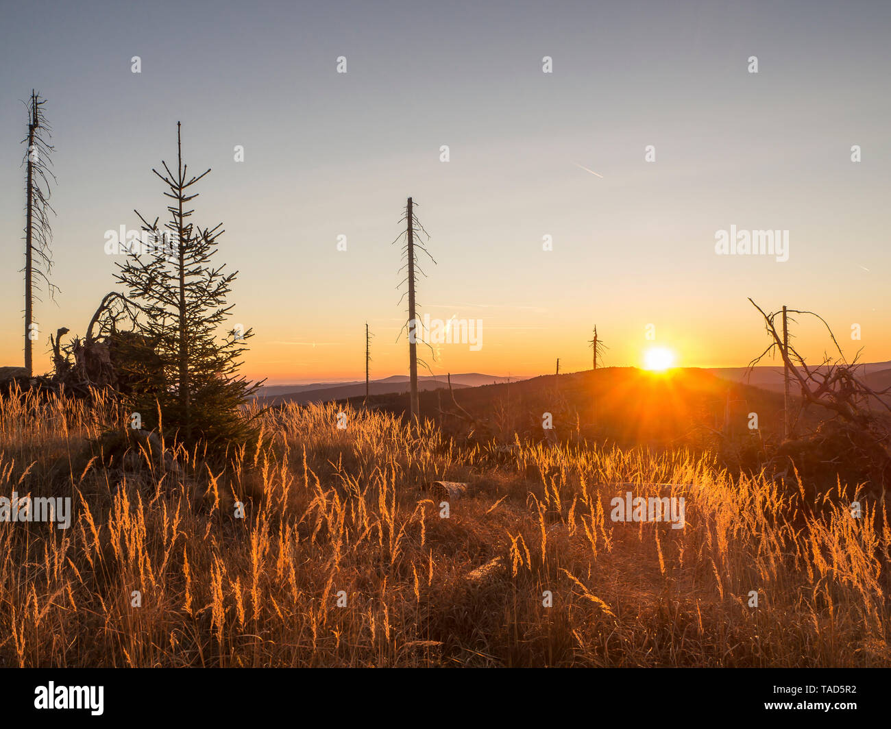 Deutschland, Bayern, Bayerischer Wald, Sonnenaufgang am Lackenberg in der Nähe von Bayerisch Eisenstein Stockfoto