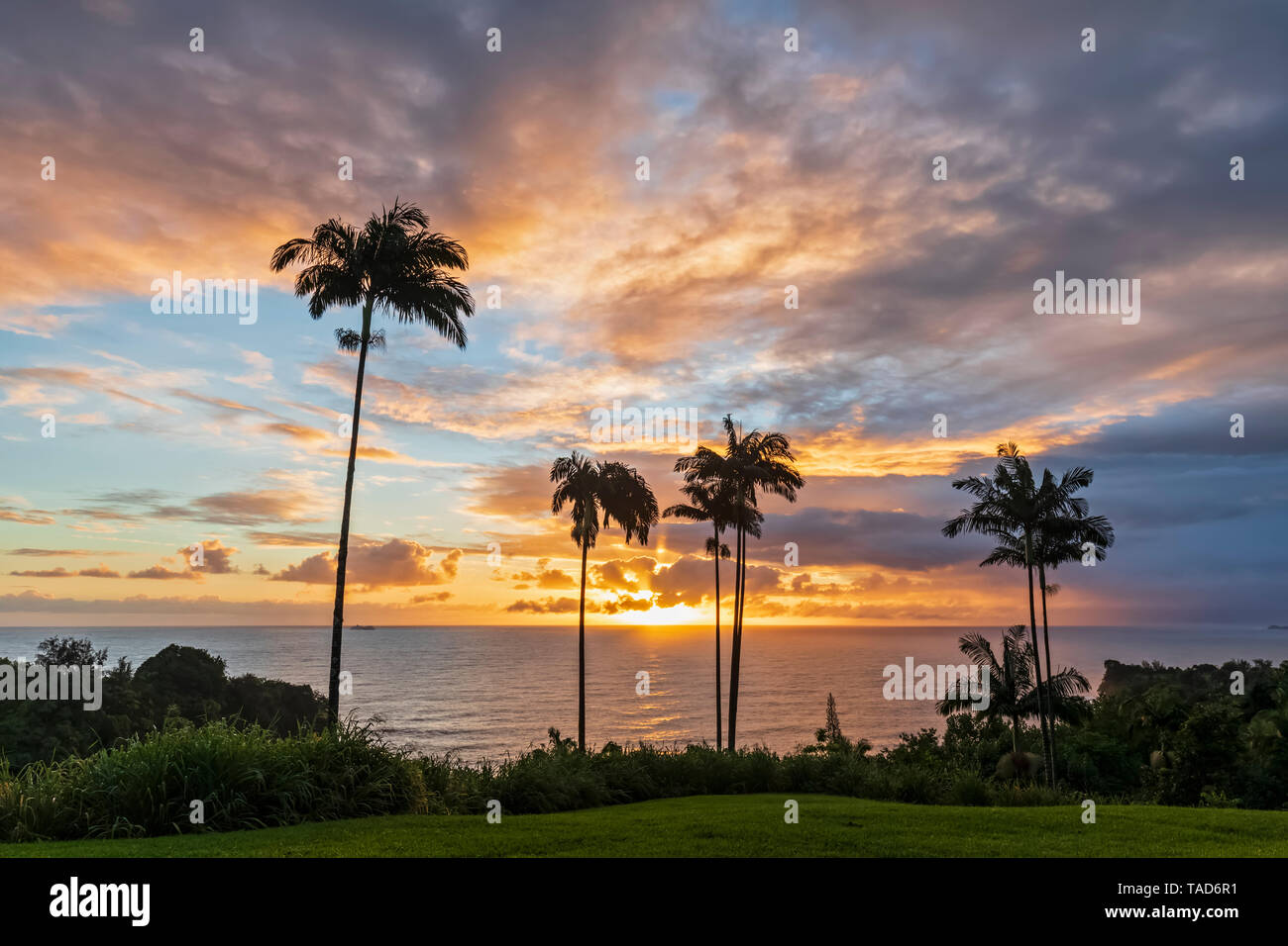 USA, Hawaii, Big Island, Onomea Bucht bei Sonnenuntergang Stockfoto