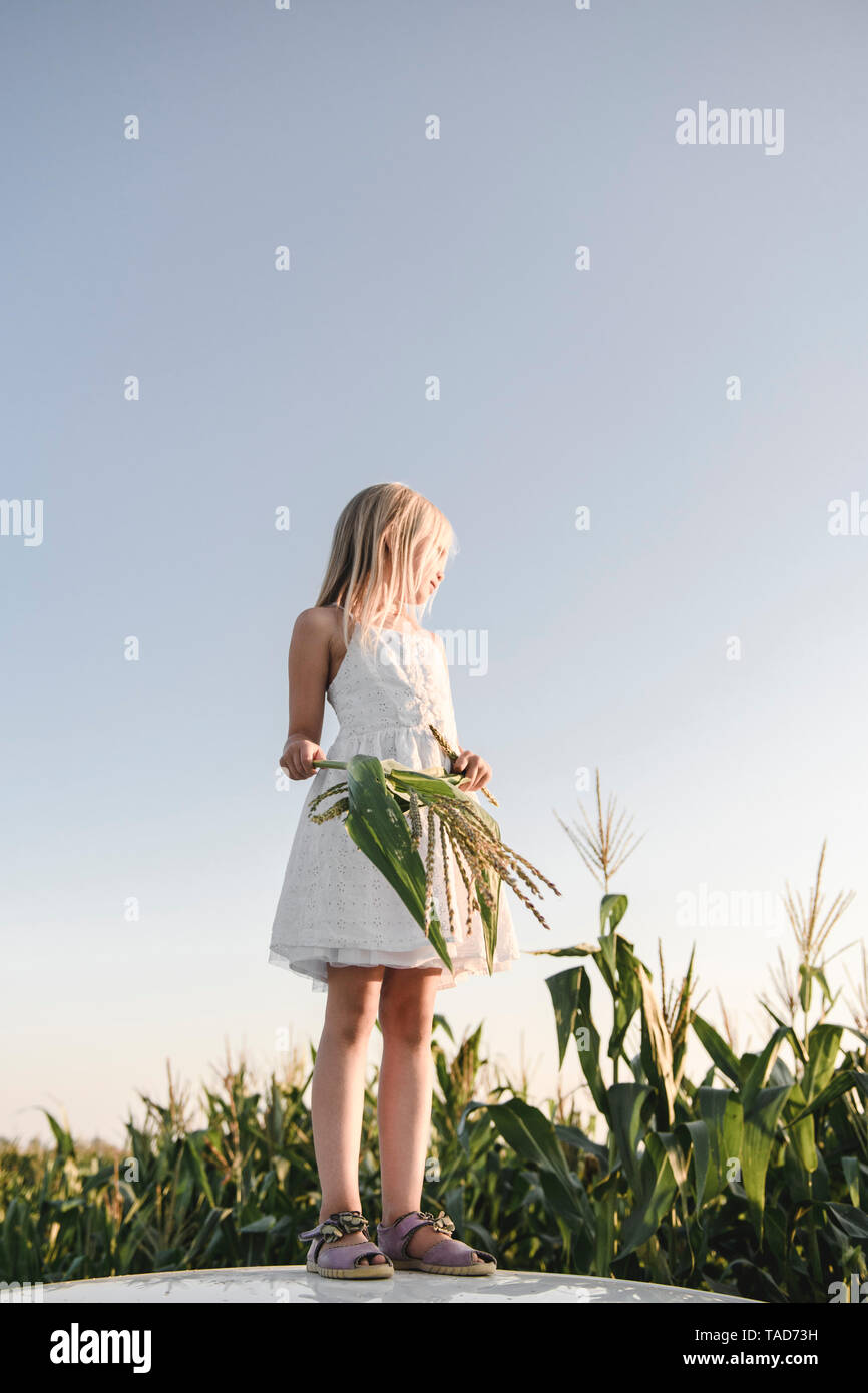 Blonde Mädchen stehend an einem Maisfeld Stockfoto