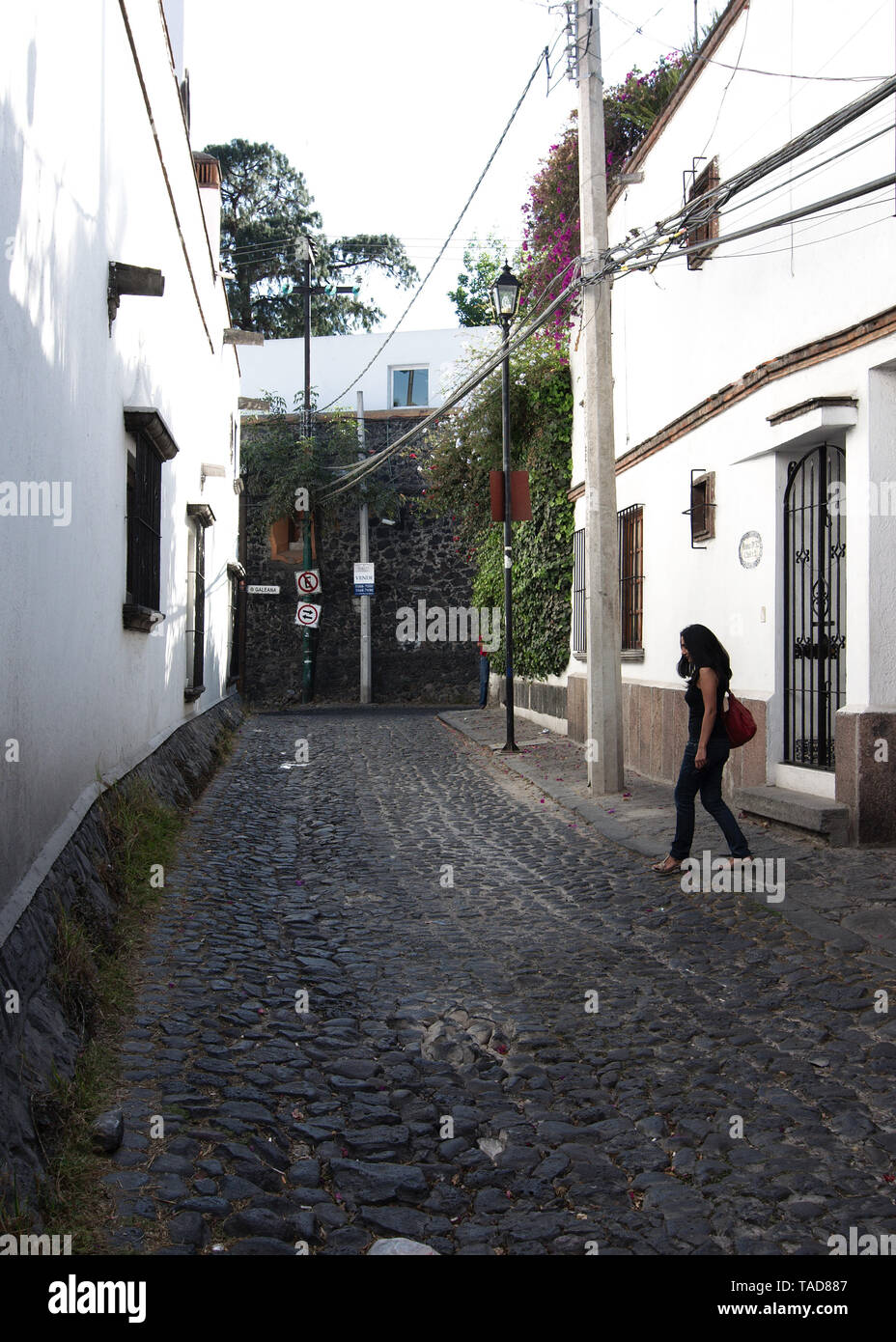 Mexiko City, Mexiko - 2019: eine Straße mit Kopfsteinpflaster in der traditionellen San Angel Nachbarschaft, als historisches Denkmal Zone in 1987. Stockfoto