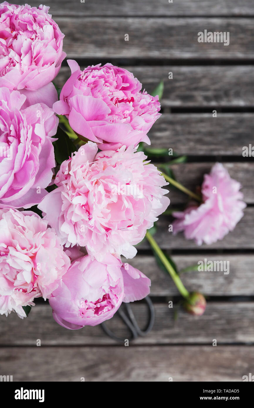 Pfingstrose Blumenstrauß mit gartenschere auf Garten Tisch Stockfoto