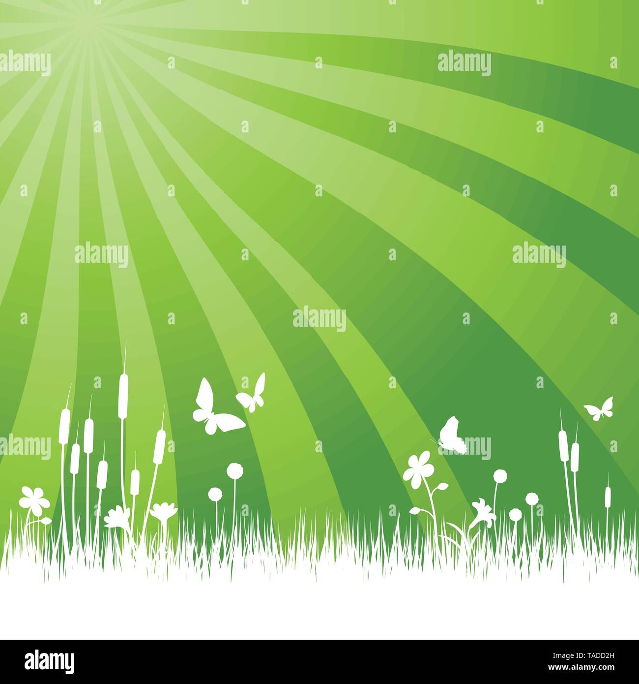 Garten Hintergrund mit Wiese, Blumen und Schmetterlinge Vector Illustration Stock Vektor