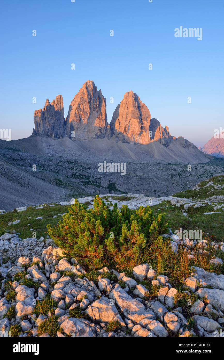 Italien, Sextner Dolomiten, die Drei Zinnen bei Sonnenaufgang, Natur Park Tre Cime, Unesco Weltkulturerbe natürlichen Standort Stockfoto
