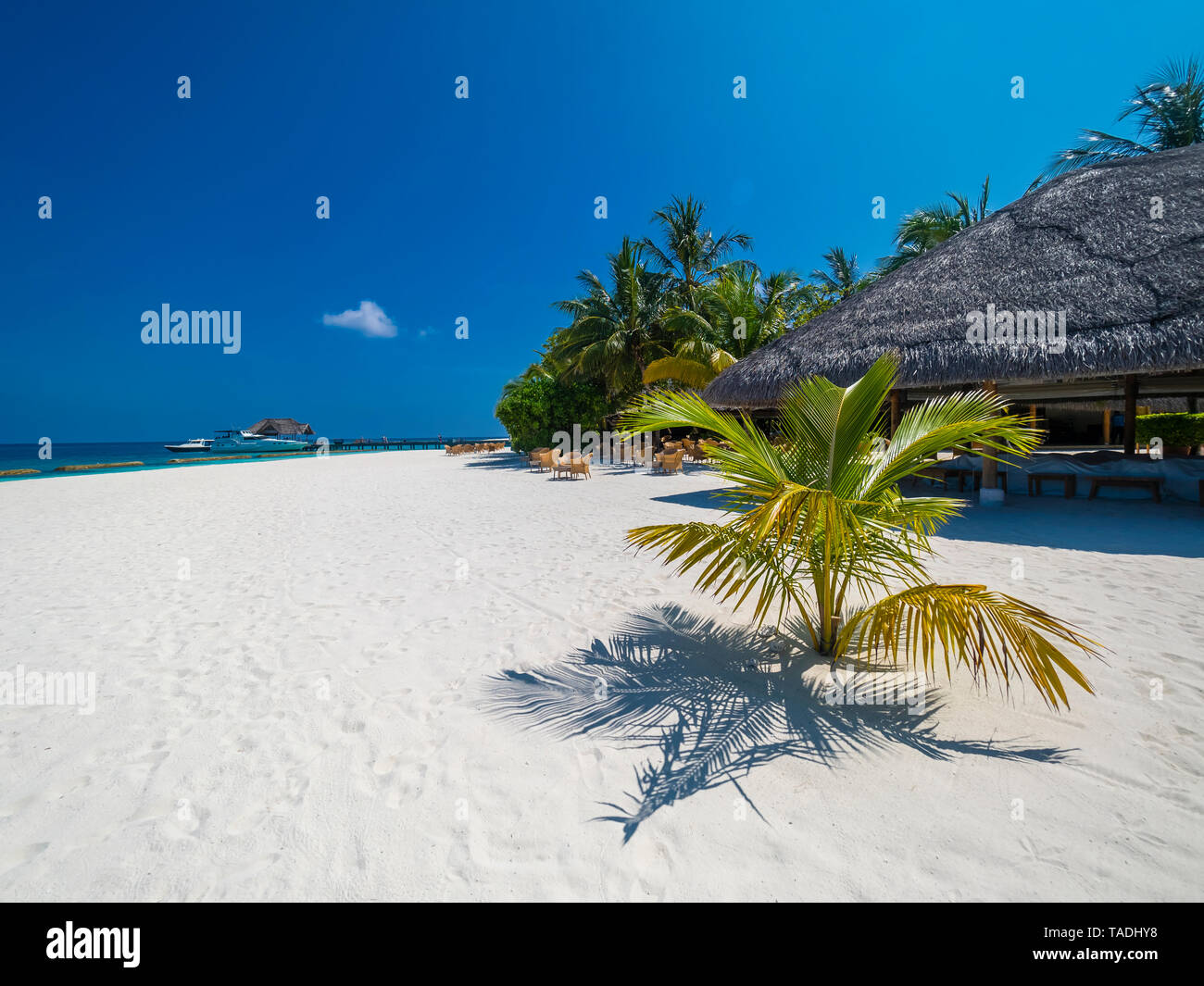Malediven, Ross Atoll, Strandbar und Sandstrand mit Palmen Stockfoto