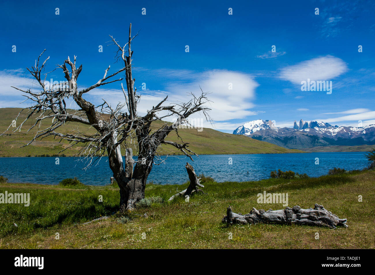 Chile, Patagonien, Torres del Paine Nationalpark, Glacier Lake mit Bergen im Hintergrund Stockfoto