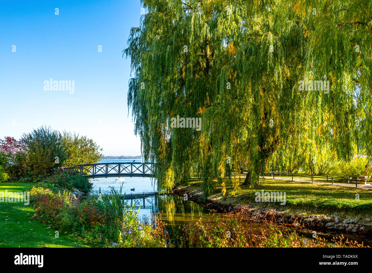 Deutschland, Schwerin, Schweriner See Stockfoto