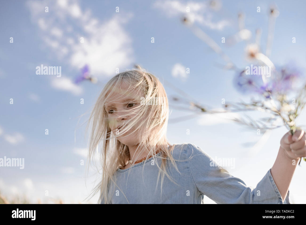 Blonde Mädchen mit windswept Haar holding Kornblumen Stockfoto