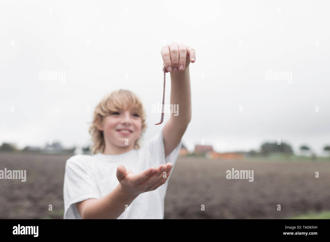 Boy's Hand Regenwurm Stockfoto