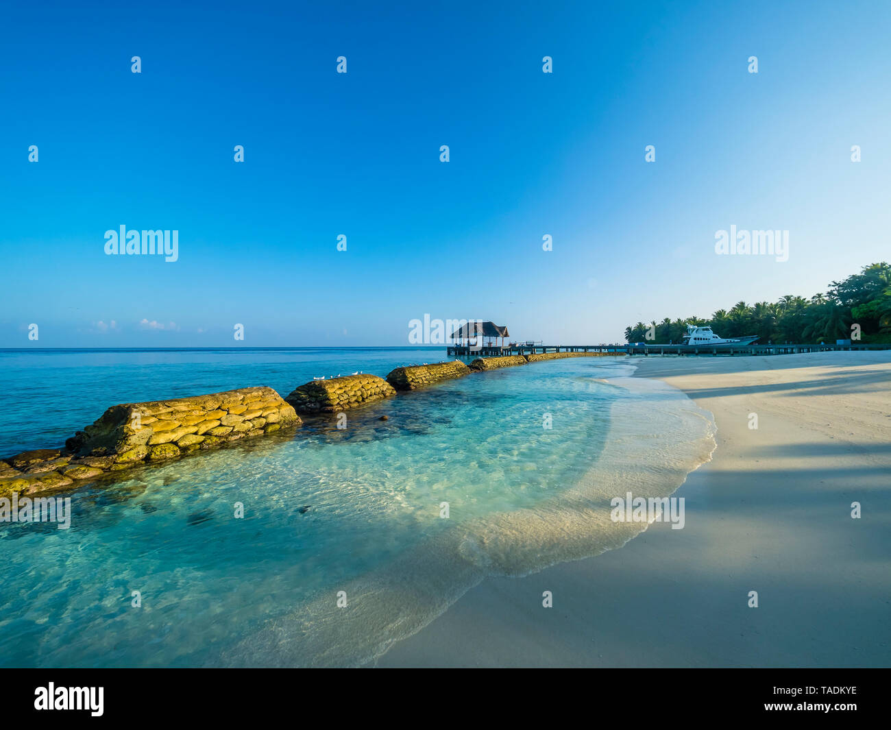 Malediven, Ross Atoll, Strand, Uferbefestigung in Wasser, Marine Conservation Stockfoto