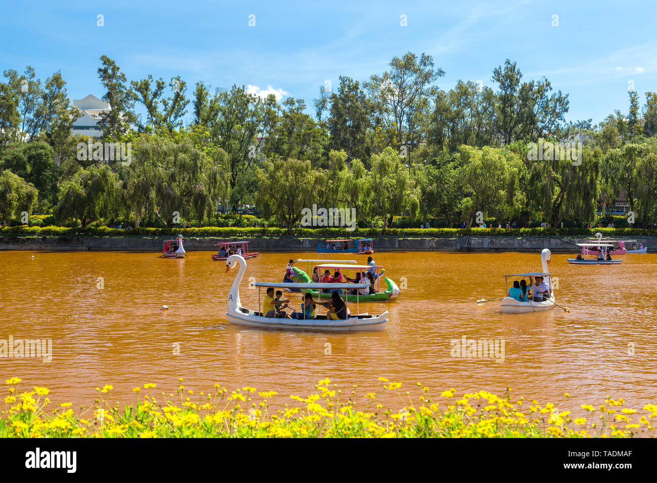 Baguio City Park mit Teich oder See und Little Swan Boote Stockfoto