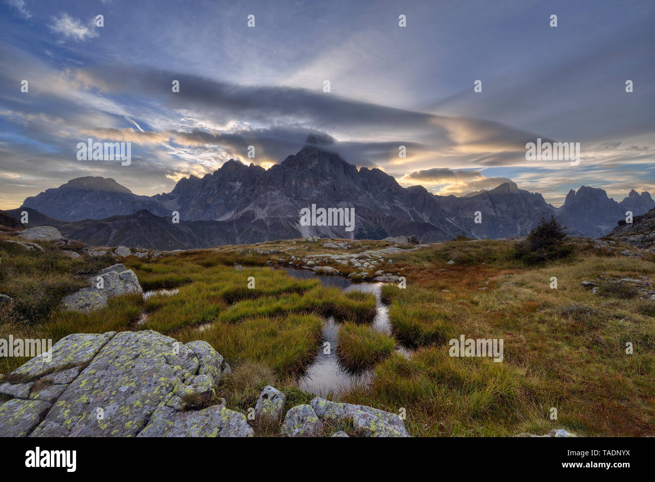 Italien, Dolomiten, Passo Rolle, Trentino, Pale di San Martino Berg Gruppe mit Berg Cimon della Pala mit kleinen Teich bei Sonnenaufgang Stockfoto