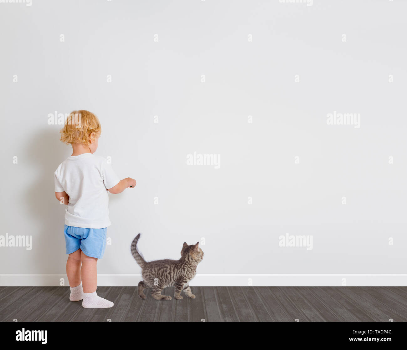 Baby Boy Zeichnung auf Tapete Rücken an Kamera mit kleine Katze Stockfoto
