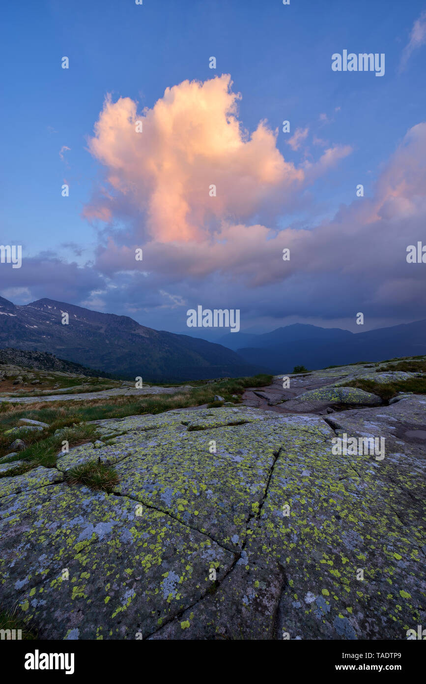 Italien, Dolomiten, Passo Rolle, trübe Atmosphäre Stockfoto