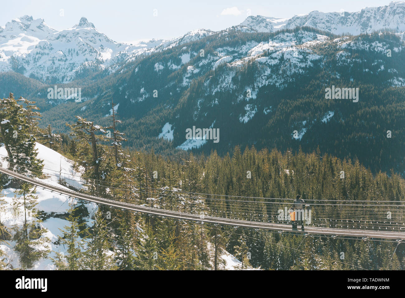 Vater und Sohn gehen auf eine Hängebrücke in den Bergen, Squamish, Kanada Stockfoto