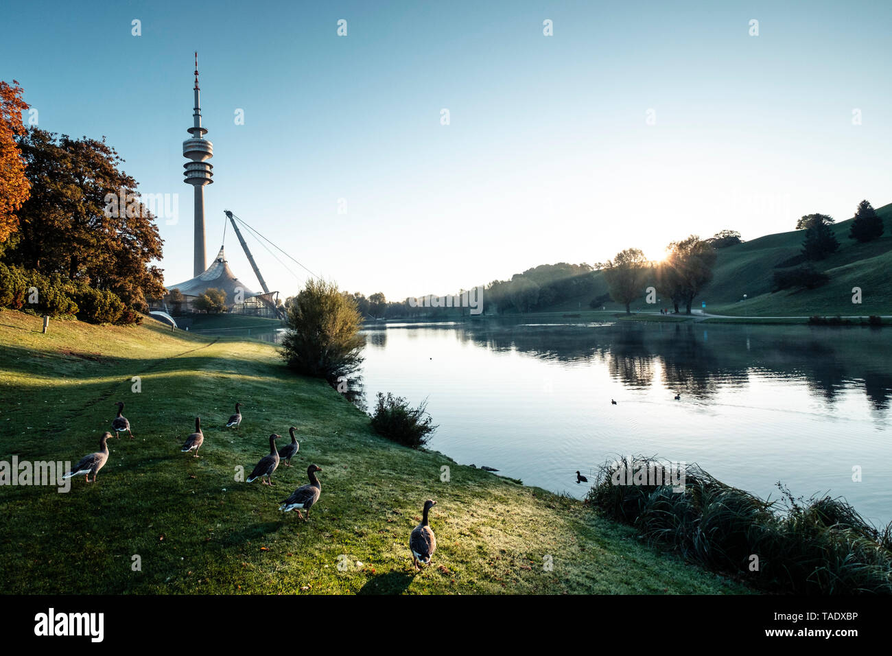 Deutschland, München, Olympic Park und Olympic See gegen Morgen Sonne Stockfoto