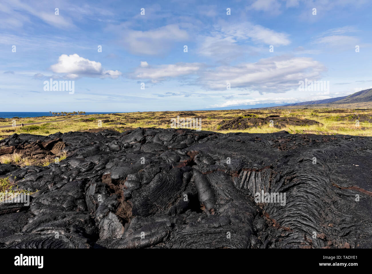 USA, Hawaii, Big Island, Volcanoes National Park, Ka Lae Apuki, Lavafelder Stockfoto