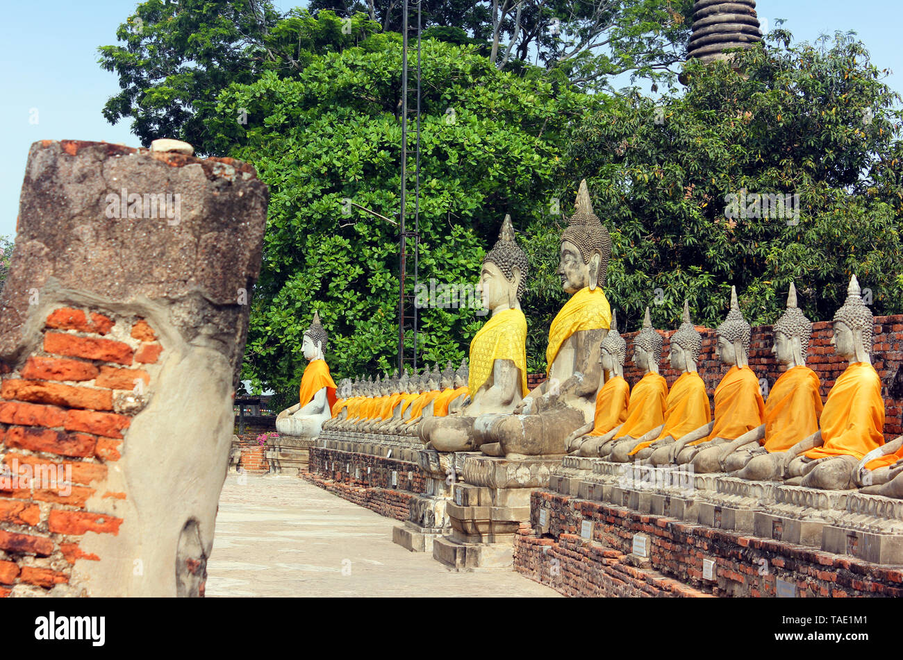 Antike Statuen der meditierende Buddha sitzend, in Wat Yai Chaimongkol alte Tempel in Ayutthaya, Thailand Stockfoto