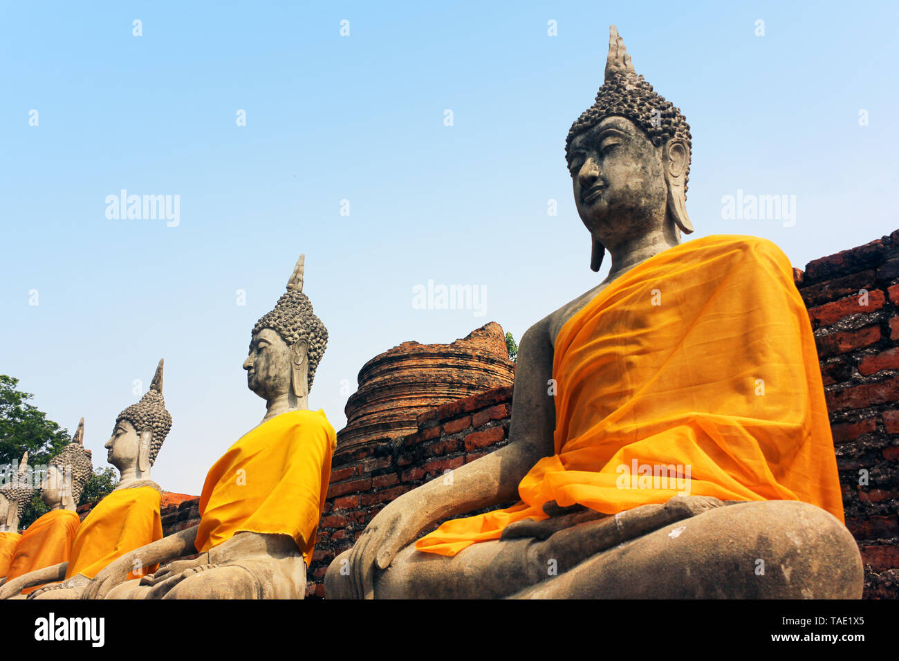 Antike Statuen der meditierende Buddha sitzend, in Wat Yai Chaimongkol alte Tempel in Ayutthaya, Thailand Stockfoto