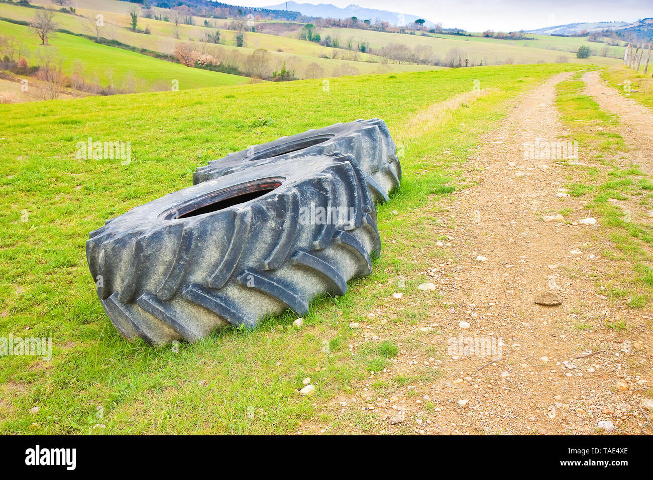 Paar Reifen eines großen Traktor zerlegt und in einem Italienischen Landstraße links Stockfoto