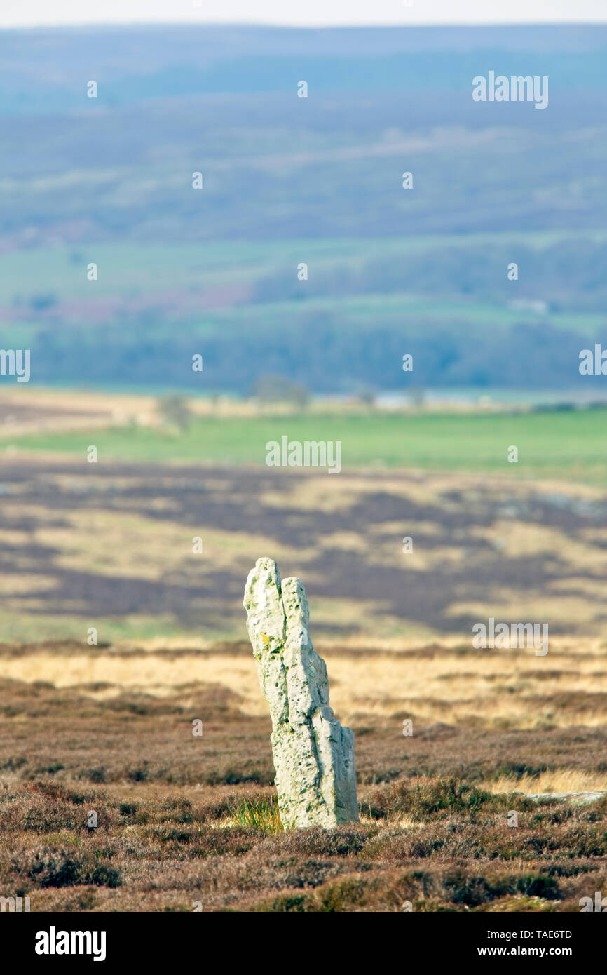 Einer der Hohen Bridestones, eine Bronzezeitliche Standing Stone, in der Nähe von Grosmont, North York Moors National Park, Yorkshire, England, UK. Stockfoto