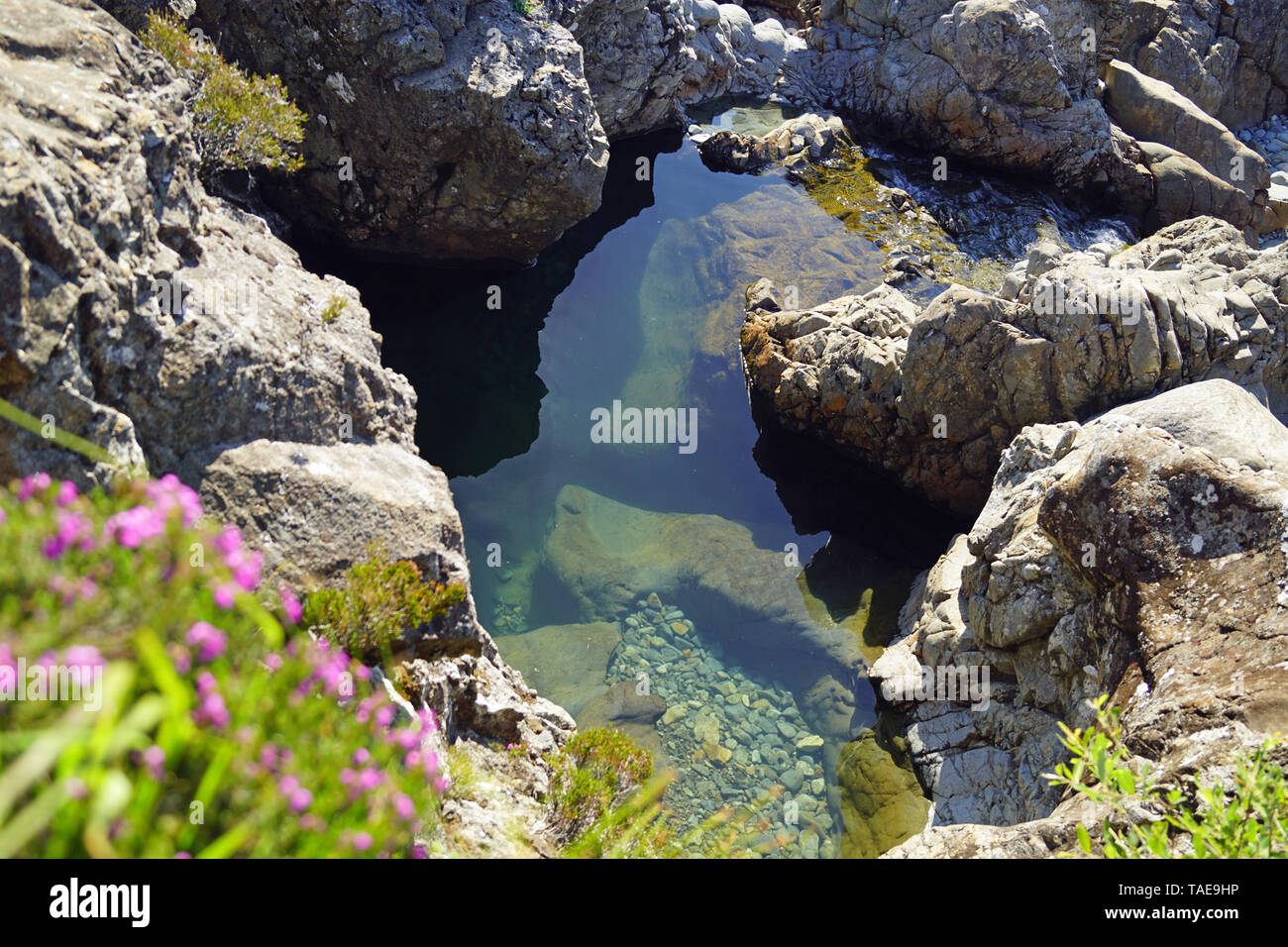 Am Fuße der Black Cuillins in der Nähe von glenbrittle sind die Fairy Pools, wunderschön kristallklare Pools auf dem Fluss spröde. Stockfoto