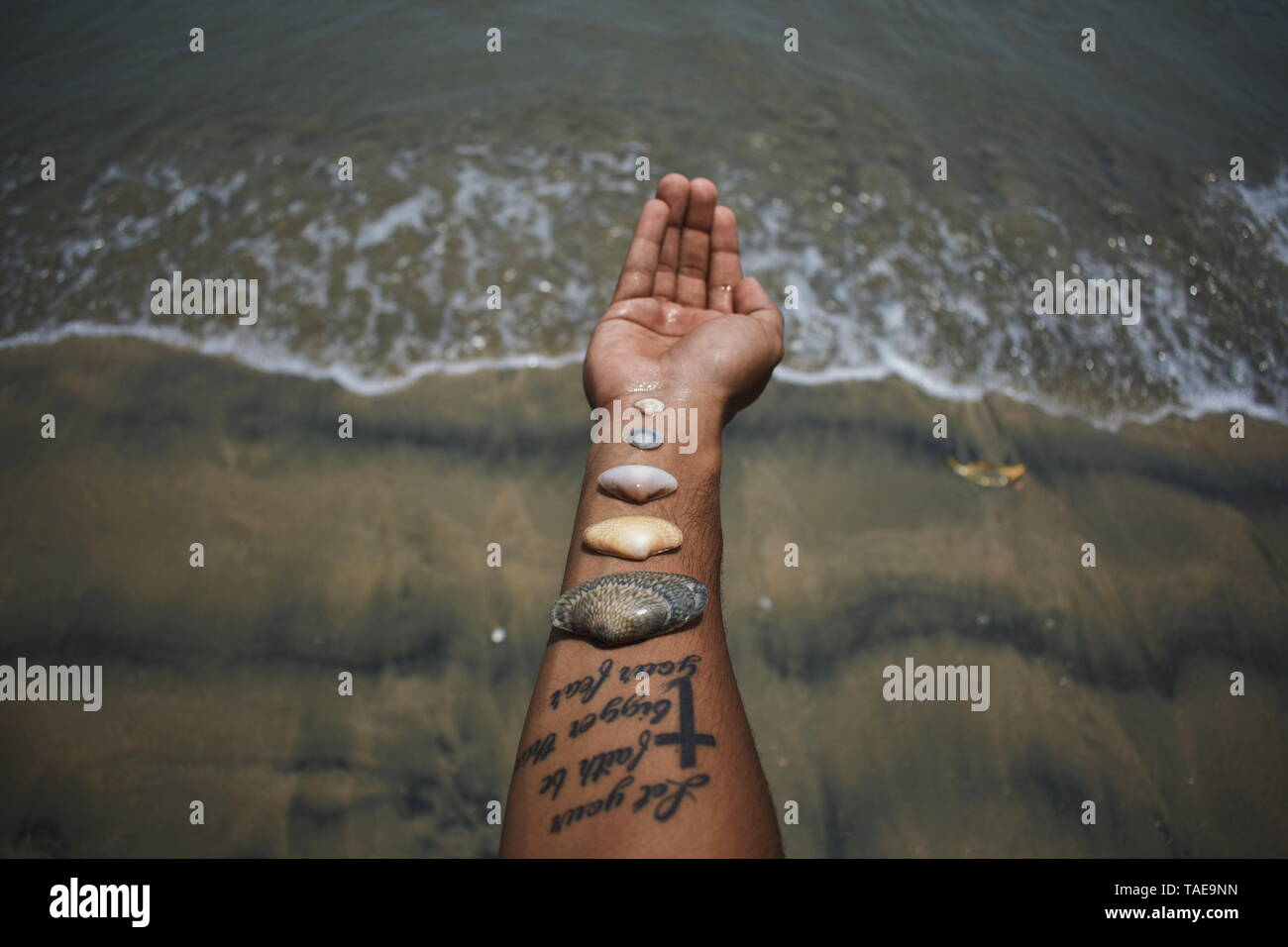 Man kann nicht alle schönen Muscheln sammeln am Strand; kann ein paar sammeln, und Sie sind schöner, wenn es wenige sind. - Anne Morrow Lindbergh Stockfoto