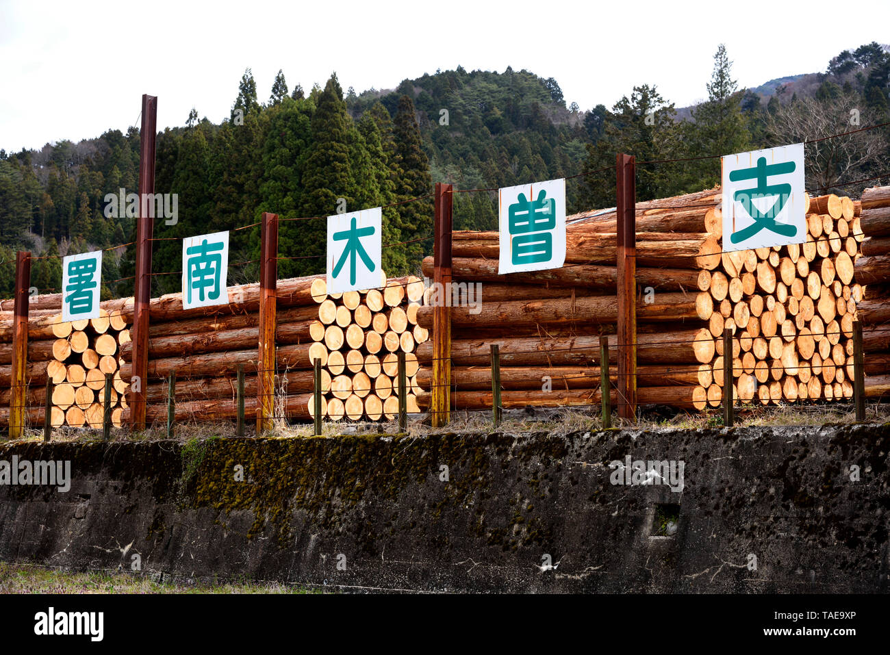 Holzhandel Japan Stockfoto