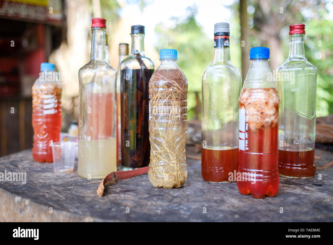 Lokale hausgemachte Drinks auf peruanische Amazonasbecken, Loreto Abteilung, Peru Stockfoto