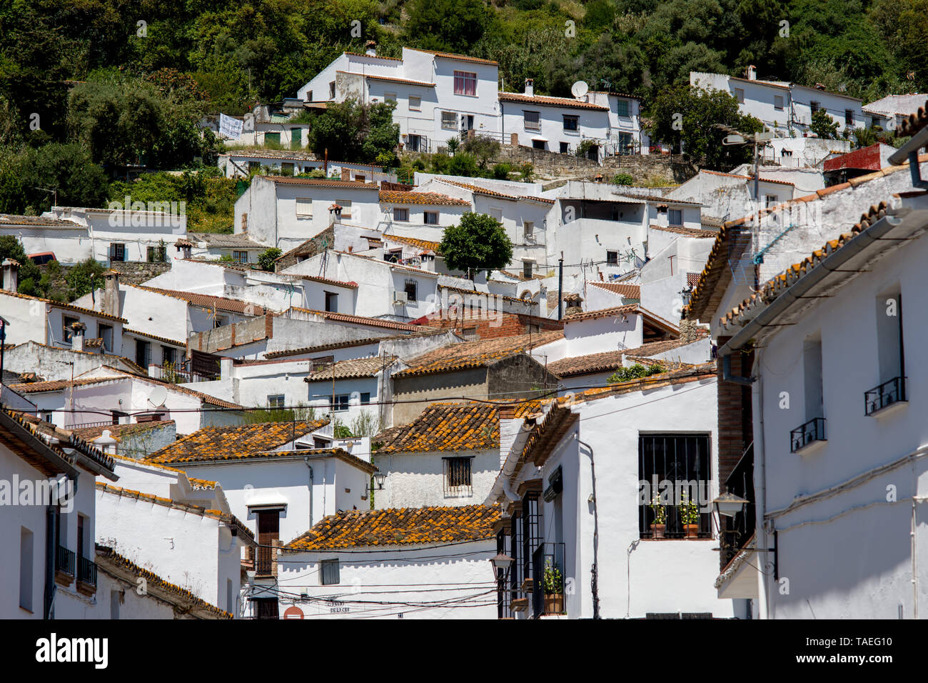 Jimena de la Frontera Dorf in der Provinz Cadiz, Andalusien, Spanien. Stockfoto