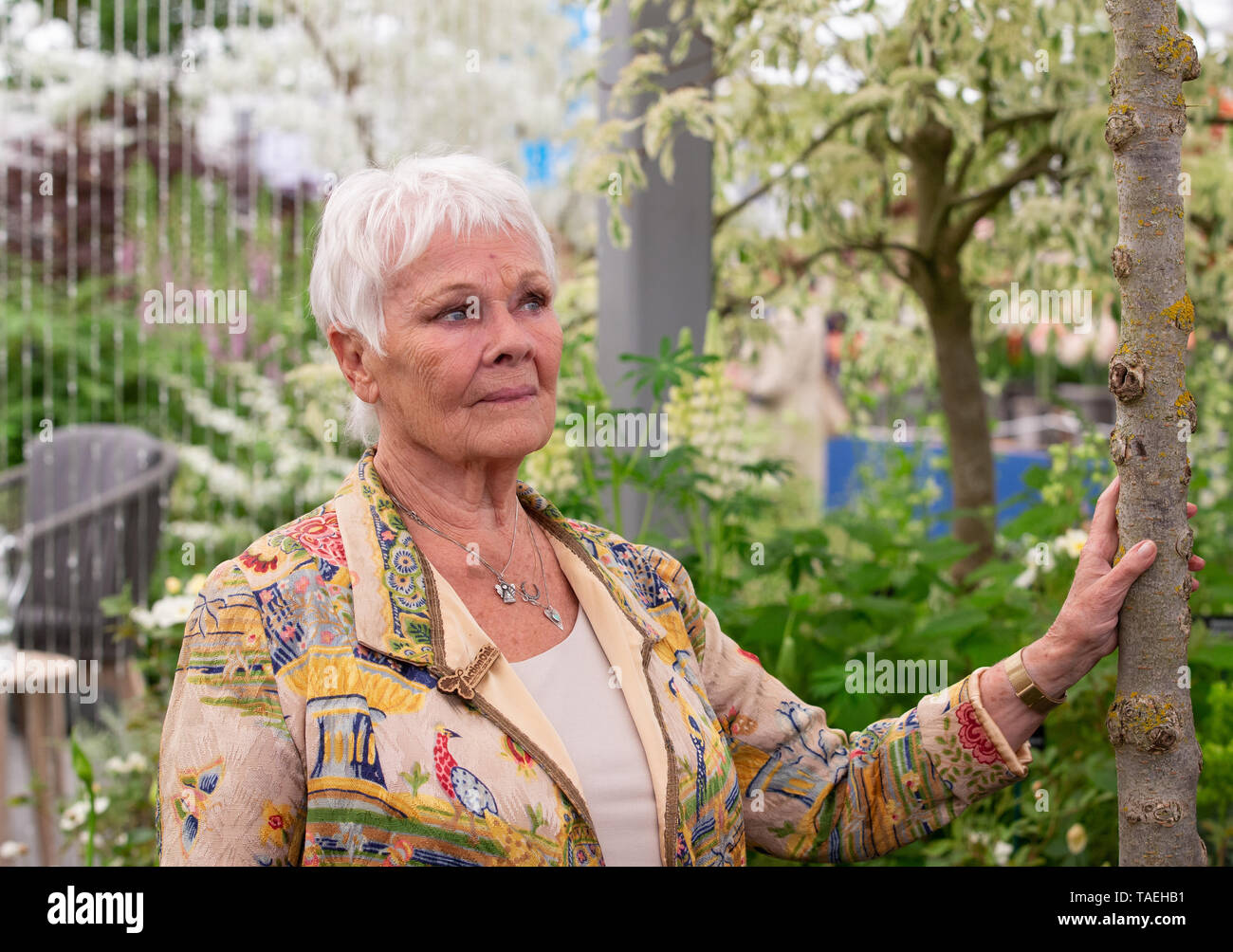 Dame, Schauspielerin, Autorin und Künstlerin in der RHS Chelsea Flower Show. Stockfoto