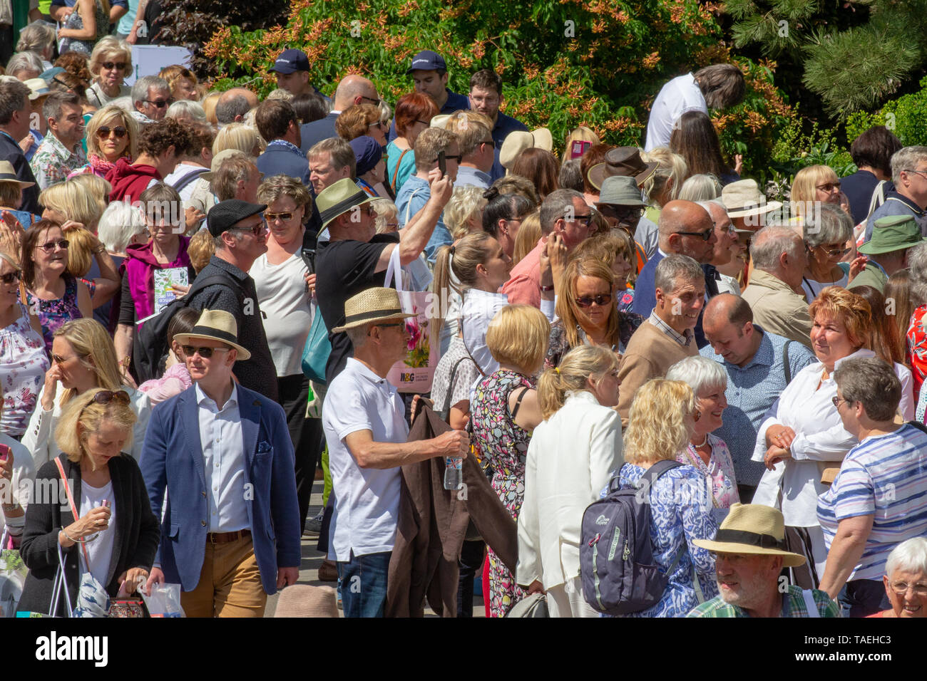 Große Massen an der RHS Chelsea Flower Show bewundern die farbenfrohen zeigt entlang der Hauptstraße Stockfoto