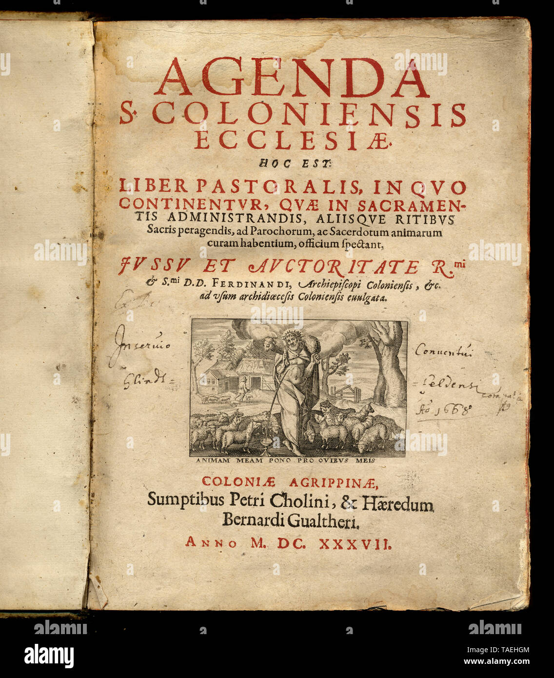 Historisches Kirchenbuch in lateinischer Sprache aus Köln, 1637 Stockfoto