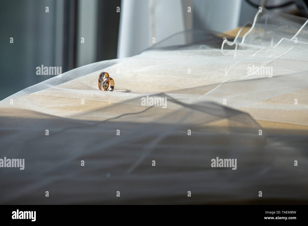 Zwei Trauringe auf Hochzeit Schleier. Gold Trauringe auf dem Hintergrund der White Bridal Veil. Ringe auf bridal Wedding Dress. Stockfoto