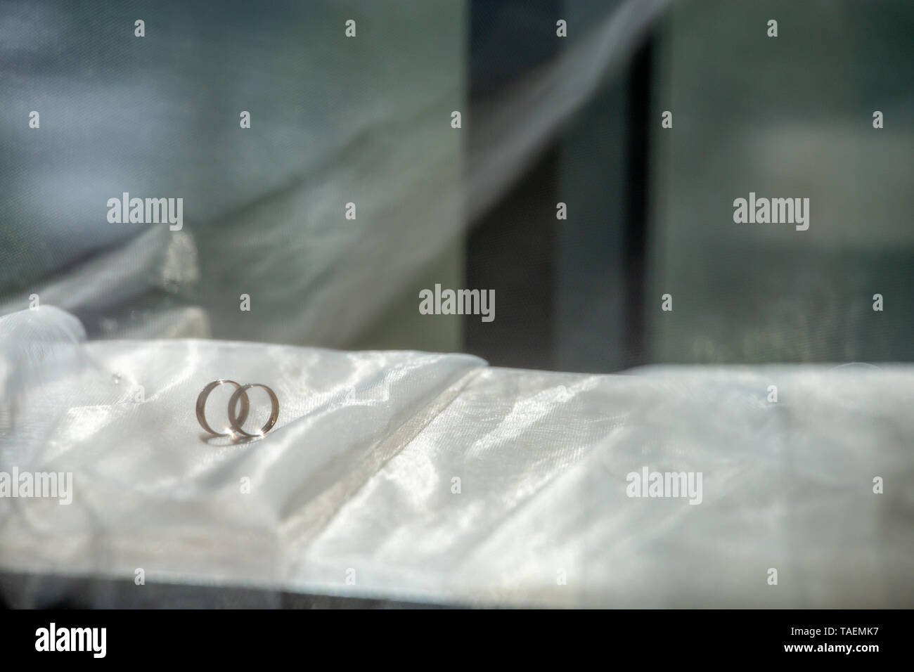 Zwei Trauringe auf Hochzeit Schleier. Gold Trauringe auf dem Hintergrund der White Bridal Veil. Ringe auf bridal Wedding Dress. Stockfoto