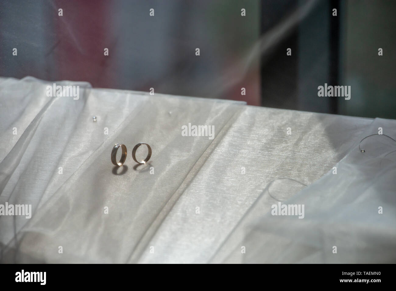 Zwei Trauringe auf Hochzeit Schleier. Gold Trauringe auf dem Hintergrund der White Bridal Veil. Ringe auf bridal Wedding Dress. Stockfoto