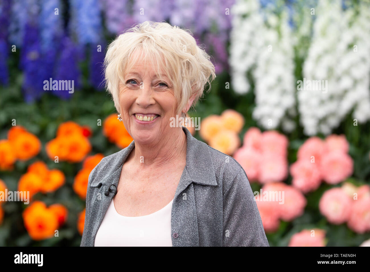 Tv-Moderatorin und Gartenarbeit Experte, Carol Klein, an der RHS Chelsea Flower Show. Stockfoto