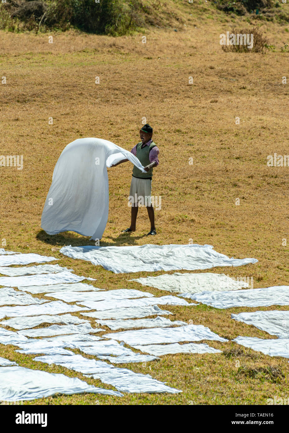 Vertikale Ansicht eines Dhobi wallah Auslegen sauber waschen in Indien zu trocknen. Stockfoto