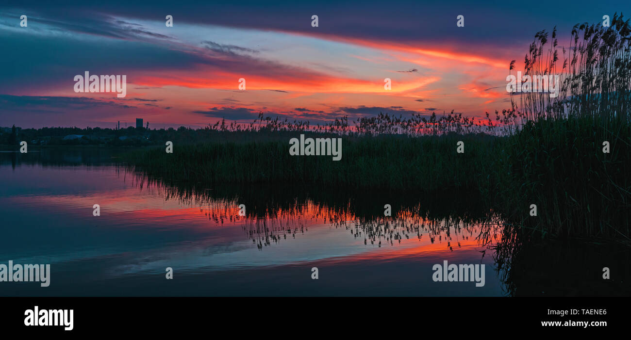 Ein schönes helles Frühjahr Sonnenuntergang über dem See. Zuckerrohr Vegetation auf dem See Wasser. Rot hervorgehoben Wolken Reflexion. Kriviy Rih, Ukraine Stockfoto