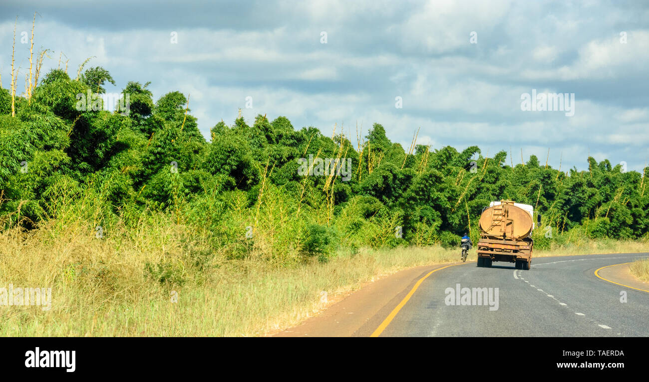 Radfahrer und Lkw-Pass eine lange Ausdehnung des Bambus an der Seite einer tar-Straße in Lilongwe Malawi gepflanzt Stockfoto