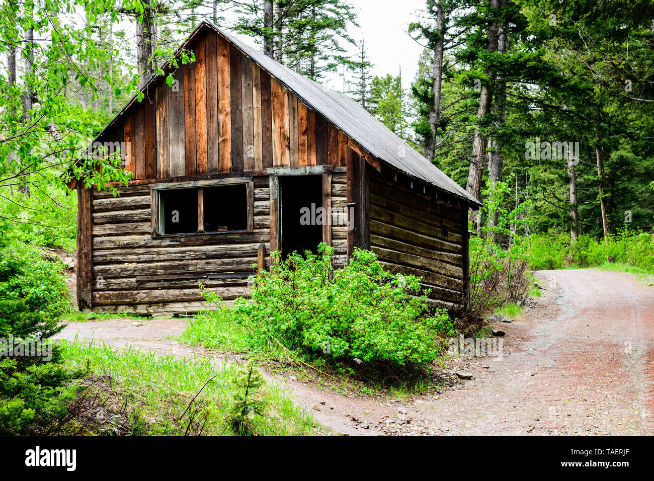 Eine alte Hütte in Granat Geisterstadt in der Nähe von Missoula, Montana, USA. Stockfoto