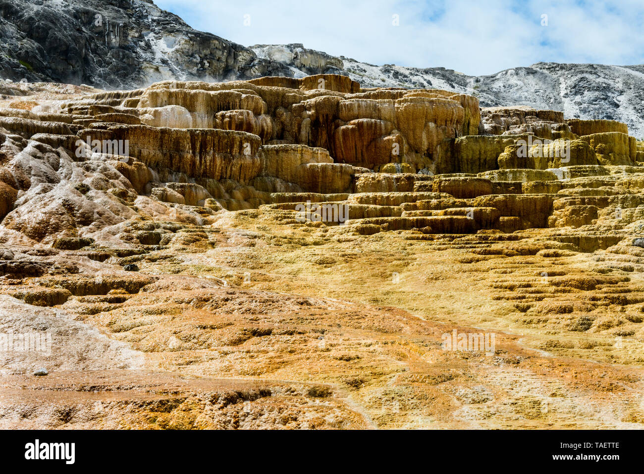 Kalkstein Felsformationen in Mammoth Hot Springs, Yellowstone National Park in Wyoming, USA. Stockfoto