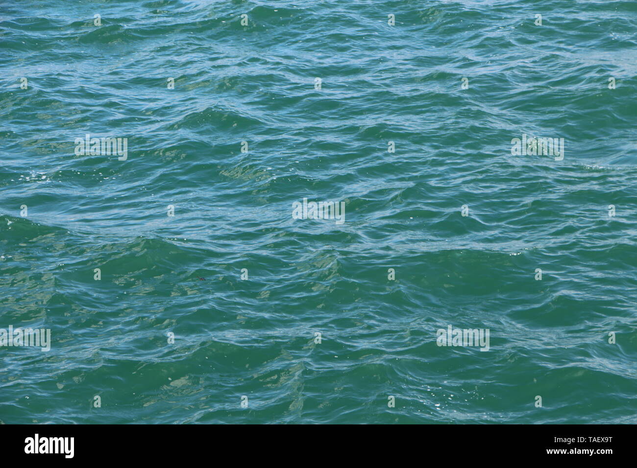 Wavelet am Meer in der Bretagne Stockfoto