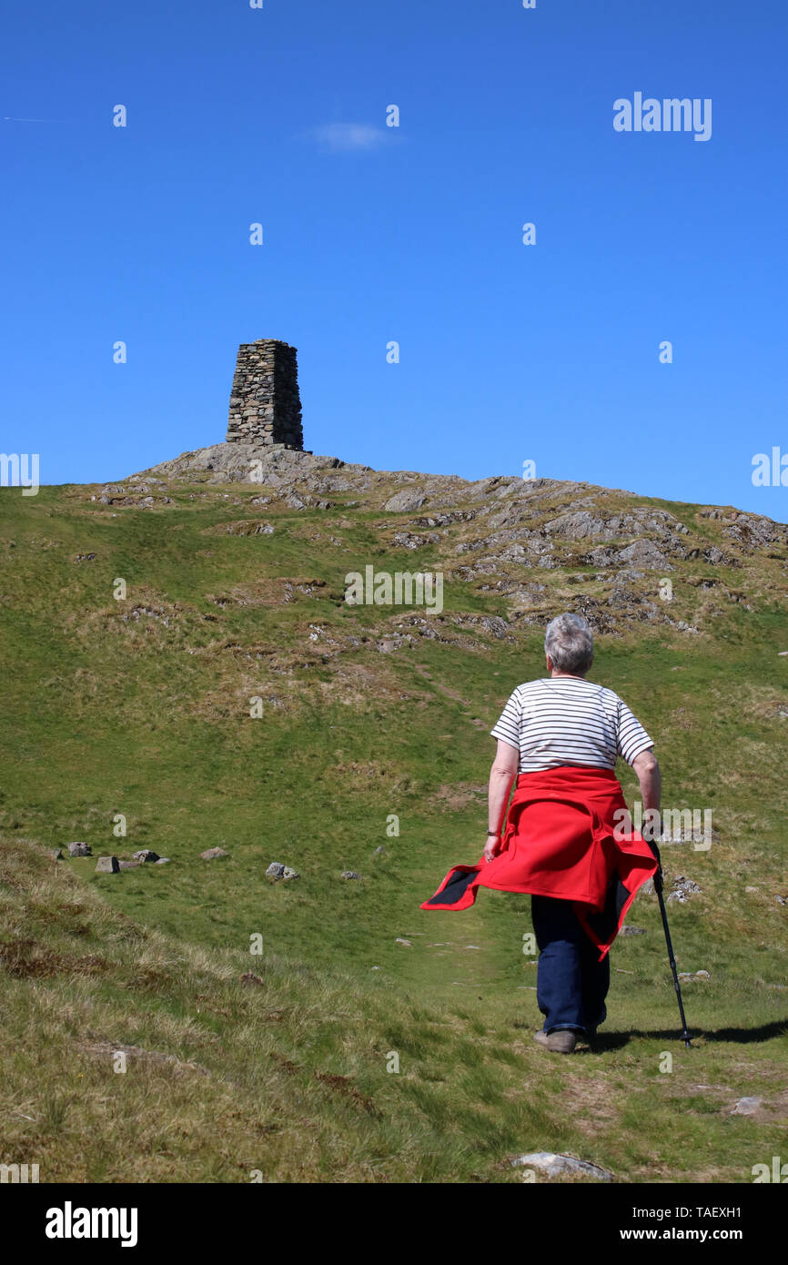 Einsame Frau auf fiel - Seite Fußweg nähert sich dem Gipfel Cairn oben Hallin fiel im englischen Lake District, Cumbria, Vereinigtes Königreich. Stockfoto