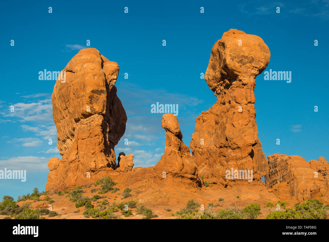 USA, Utah, Arches National Park, rote Sandsteinformationen Stockfoto